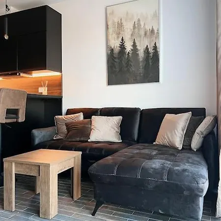 Designer In Apartman